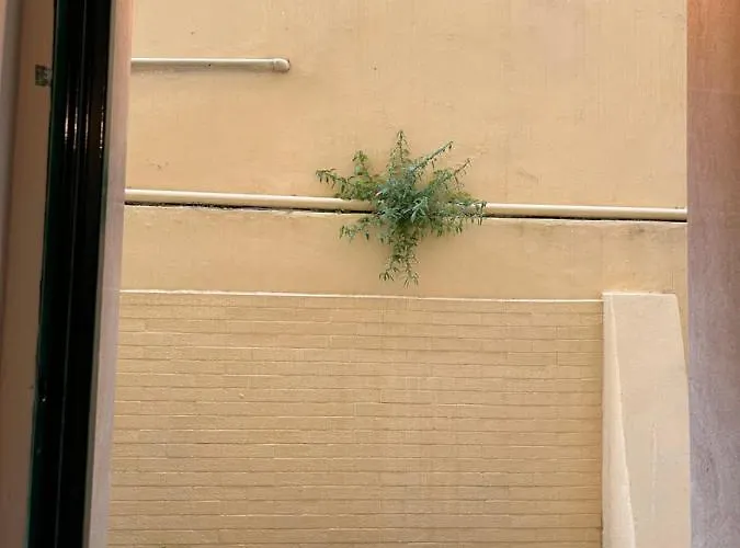 Loft Blanc דירה *